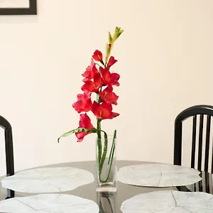  Apartamento Aligrama España